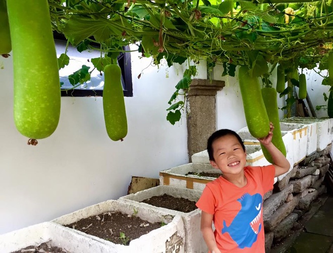 Vườn bí trĩu quả của gia đình Việt ở Cộng Hòa Séc